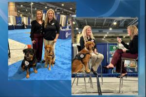 Providing Support Animals for First Responders and Survivors